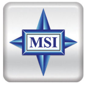 MSI Computer Sales and Support